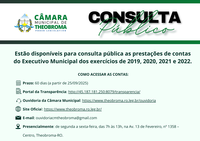 CONSULTA PÚBLICA